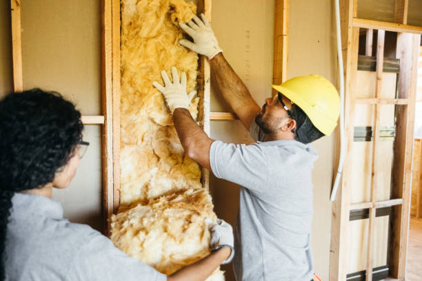 Range of Insulation Solutions in Spring Valley Lake, CA